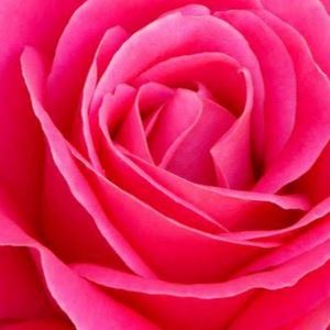 Meet your Posher, Della